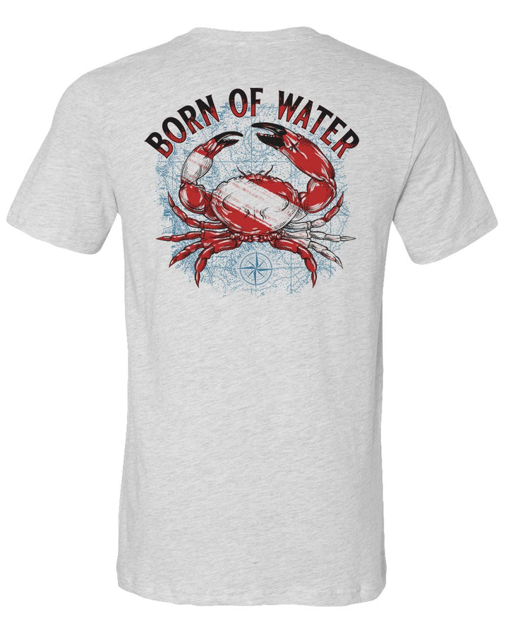 Born of Water Stone Crab Dive T-Shirt in Ash